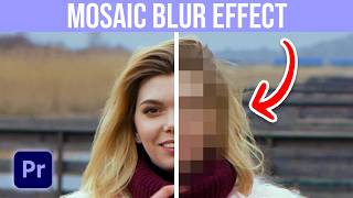 How To Add A Mosaic Blur Effect In Premiere Pro
