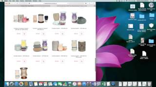 New Scentsy Consultant Using Workstation