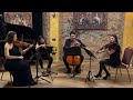 Viva la vida - Coldplay String Quartet