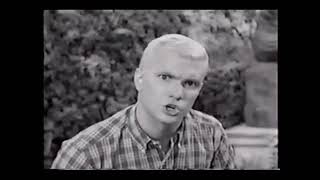 Nick At Nite Dead Giveaway- Dobie Gillis (1990)