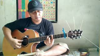 My Heart Will Go On - Celine Dion (fingerstyle cover)