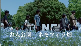 【ネモフィラ畑】公園っていいな！春の舎人公園散歩