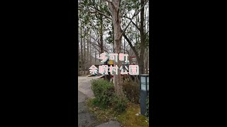 【兵庫県/多可町】初心に戻って巨大すべり台を滑ってきた 【余暇村公園】#兵庫観光 #shorts