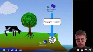 Overview of biogeochemical cycles