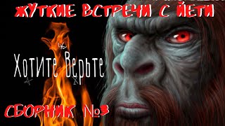 Жуткие встречи с Йети: Сборник№3. Рассказы очевидцев.