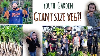 Youth Transform Dumping Site into Garden | Lendi and Livo picking Organic Veg | A\u0026B Youth Fellowship