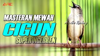 CIGUN GACOR SUPER NGEBREN AK47 | BERJEDA | KUALITAS AUDIO HD