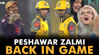 Peshawar Zalmi Back In Game | Peshawar Zalmi vs Quetta Gladiators | Match 22 | HBL PSL 7 | ML2G