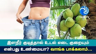 இளநீர் குடித்தால் உடல் எடை குறையும் என்பது உண்மையா? வாங்க பாக்கலாம்... - Tamil TV