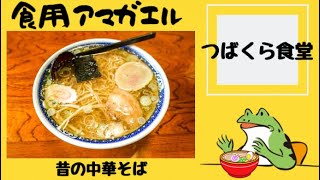 秋田県横手市‼️【つばくら食堂】店主がまさかの視聴者さん⁉️蔵の町、増田町で昭和33年創業の老舗店で『昔の中華そば』を食す‼️