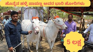 Honnenalli  Pananna's 5 lakh worth bulls ||Baby hill cattle fair