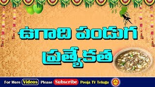 ఉగాది ప్రత్యేకత ఏంటో తెలుసా..? | Ugadi | Ugadi Festival | Ugadi Pachadi | Ugadi Importance In Telugu