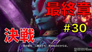 DQH2 ドラクエヒーローズ2 双子の王と予言の終わり ついに完結！最終決戦！ザラーム 〜No 30〜 SHO 実況