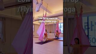 로우플라잉웜업/플라잉하타요가~#flyingyoga #로우플라잉