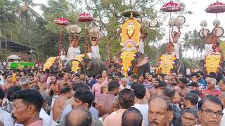 Mangode pooram  2024 | CHERUPPULASSERI   മാങ്ങോട് പൂരം| ചെർപ്പുളശ്ശേരി