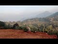 adali view point nature videos parvathipuram district