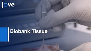 Biobank Tissue of Porcine Biomedical Models: Sampling and Processing  | Protocol Preview