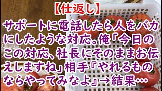 【仕返し】サポートに電話したら人をバカにしたような対応。俺「今日のこの対応、社長にそのままお伝えしますね」相手『やれるものならやってみなよ』→ 結果…【痛快・スカッとジャパン】