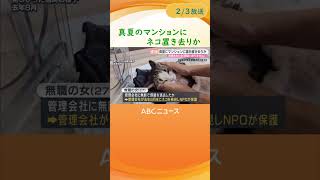 【真夏のマンションにネコ置き去り】連絡せず退去か　２７歳女を動物愛護法違反疑いで逮捕　保護当時ネコは意識なし