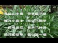 蘭花草 作詞 胡適 作曲 陳賢德 張弼 教唱版 簡譜 中文字幕 人聲演唱 寇佳踪 john kou