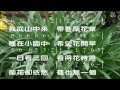 蘭花草 作詞 胡適 作曲 陳賢德 張弼 教唱版 簡譜 中文字幕 人聲演唱 寇佳踪 john kou