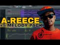 Free A-REECE  +5 Melodies (Mediafire Download) 2025