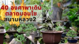 Hot 40 degrees .. Walk to see the bonsai. Sanam Luang Market 2 (Thonburi Market) but still beautiful