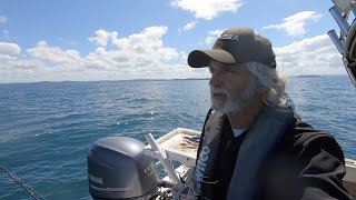 Whangaparaoa Bay fishing after October lockdown 2021.