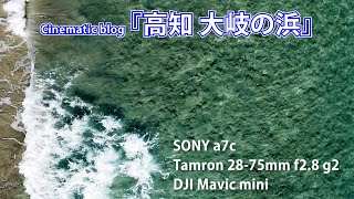 高知県土佐清水市 大岐の浜 20211225