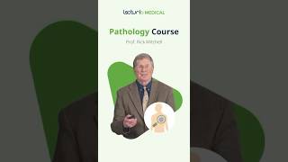 Master Pathology with Dr. Richard Mitchell 🧬 #MedicalEducation #PathologyEssentials