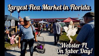 Largest Flea Market In Florida Webster Fl
