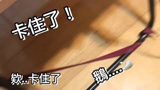 環保省錢省心力逗貓棒！Great Stuff Eco friendly Cat Teaser Wand！