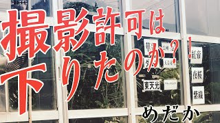 【メダカ販売】アポ無し突撃メダカ市場調査！島根県出雲市編