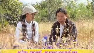 Inside Tourism ตอน ชมทุ่งดอกไม้ป่า อุบลราชธานี