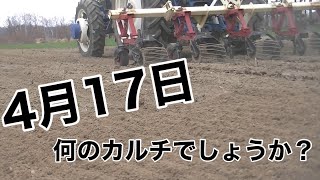 ＫＯＫＯ農園センキュウカルチｉｎ北海道網走農家