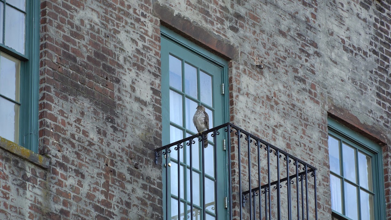 Sony A6400 4k Video Sample Youtube