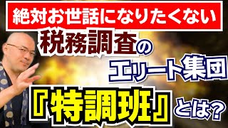 【税務調査 国税】絶対に出会いたくない！税務調査のエリート集団『特調班』とは？【風俗、反社、悪質困難】