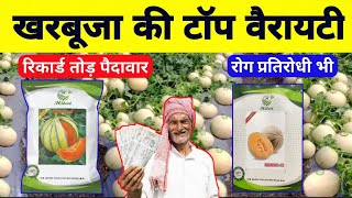 Hybrid muskmelon variety | kharbuja ki unnat kism | खरबूजा की खेती कैसे करें | खरबूजा का बीज दिखाओ