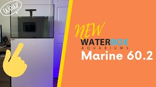 My New Water Box Marine 60.2 Aquarium