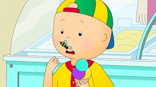 Caillou ve Arı | Caillou Türkçe - WildBrain