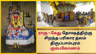 ராகு - கேது தோஷத்திற்கு சிறந்த பரிகார தலம் திருப்பாம்புரம் கும்பகோணம்