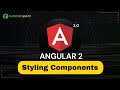 Angular 2 Styling Components | Angular 2 Training | Tutorialspoint