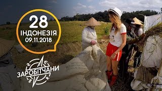 Заробітчани - Индонезия- Выпуск 28 - 10.11.2018