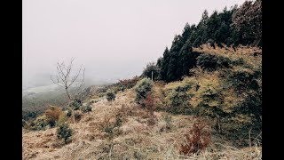 一日探勘-蓬萊林道