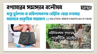 ধাতু দুৰ্বলতা বা মহিলাসকলৰ বেছিকৈ হোৱা বগাস্ৰাৱ সমস্যাৰ  সমাধান ।।Solution: White Particles in Urine