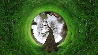 What If Reality Is Nothing But Perspective?