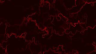 Vector Flow Field Experiment