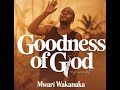 Mwari Wakanaka- Goodness of God
