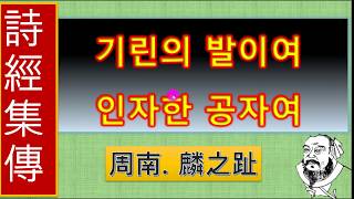 시경11 국풍 주남 (인지지) 기린의 이마여 덕성스러운 공자여