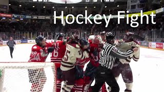 Hockey Fight Peterborough Petes @ Oshawa Generals Goalie Kyle Keyser Fights